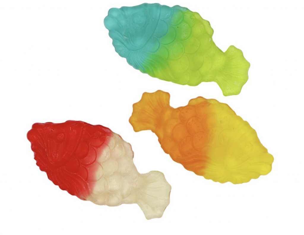 Gummy fish curious candy
